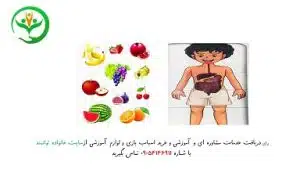 جورچین بدن