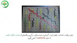 سرگرمی برای سالمندان در خانه