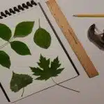 آموزش خط تقارن کلاس دوم