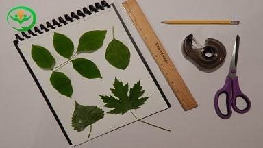 آموزش خط تقارن کلاس دوم