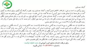 داستان فرایندی دوم دبستان